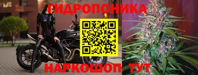 дмт Обнинск