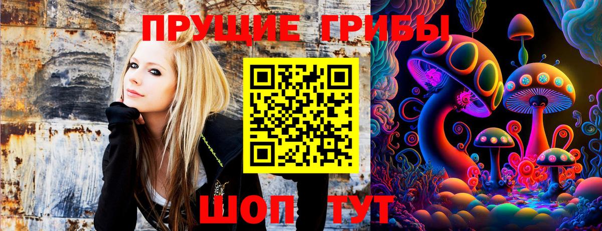 магазин продажи   Галлюциногенные грибы Magic Shrooms  Вход с VPN  Учалы 